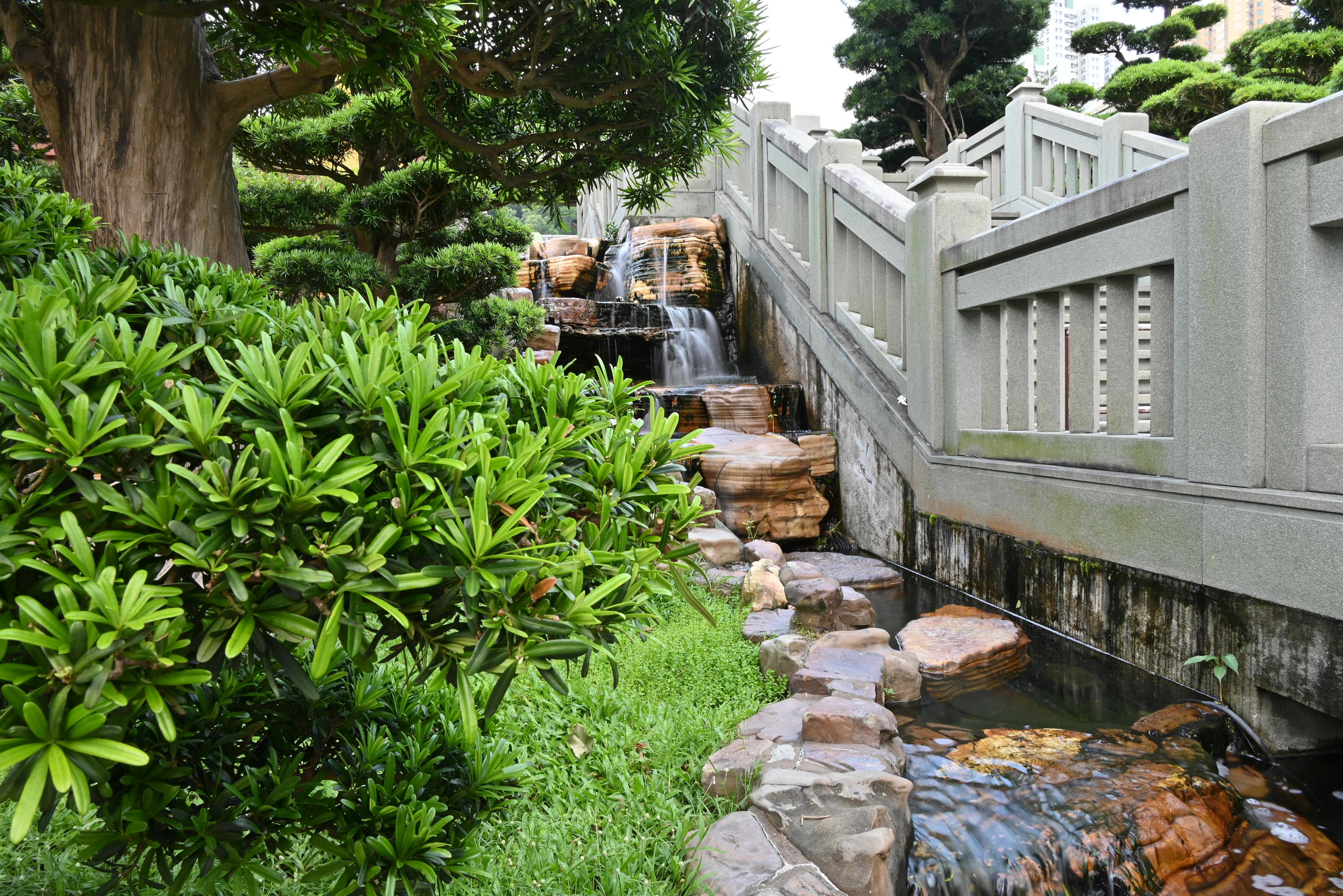 Lagoas e cascatas ornamentais